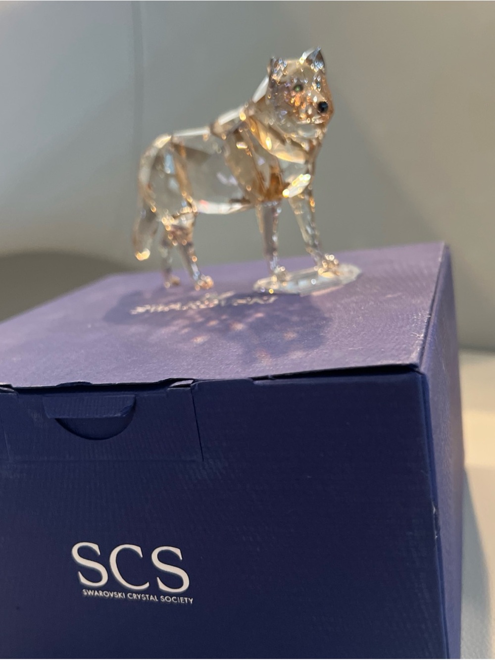 Swarovski Crystal 2019 SCS Exclusive Gray Wolf .Art No: 5428544